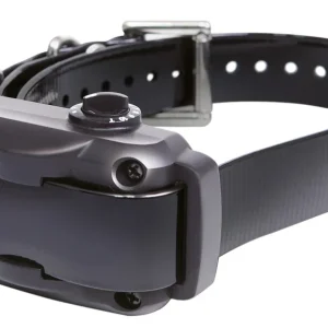 Nur Für Kurze Zeit Dogtra YS 600 Anti-Bell-Halsband